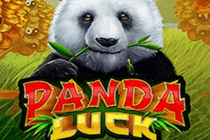 Playtech : Panda Luck - RIVAL168