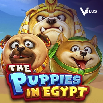 Vplus : The Puppies In Egypt - RIVAL168