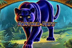 Playtech : Panther Pays - RIVAL168